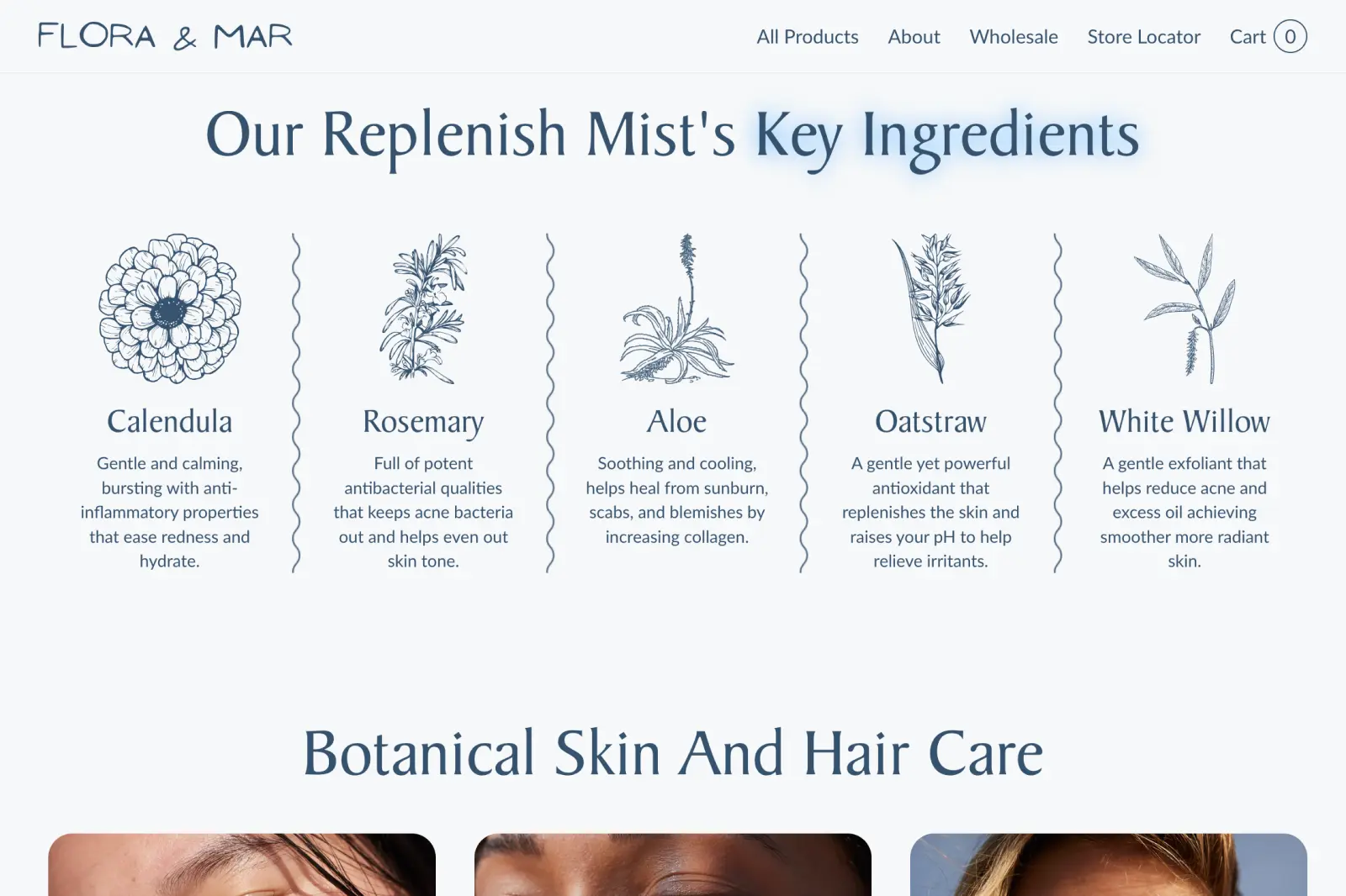 Botanical ingredient illustrations for the Replenish Mist